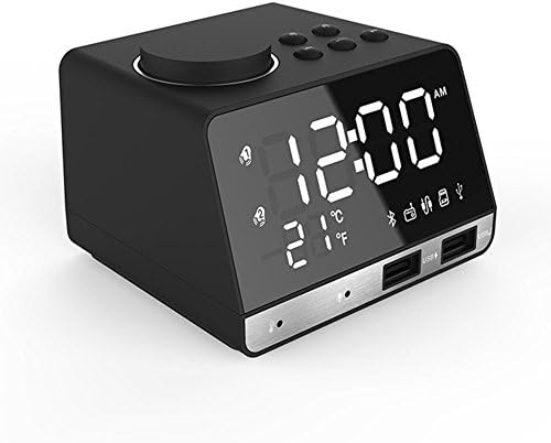 OOZIMO Clock Radio Digital FM Radio Snooze Alarm Clock with Dual USB Charging Ports Music Speaker LED Display Indoor Thermometer, black