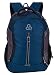 Elegant Stylish Casual Backpack - Cosmus Maxwell Travel Backpack Bag - 35L Polyester Daypack - INDIGO+L.GREY RS.899.00