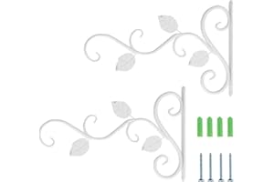 Loopunk Crochet Suspension Plante 2 Pcs Suspension Mural Plante Crochets,Porte Plante Mural,Crochet Panier à Fleurs Mural en Fer Forgé pour Plantes Suspendues/Lanternes/Carillons éoliens(Blanc)