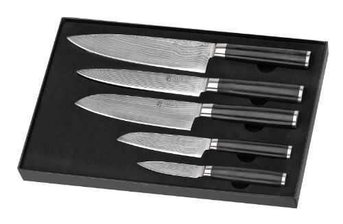 Wakoli 5DM-HOL-PAK 5er Damastmesser Set, Pakka - 2