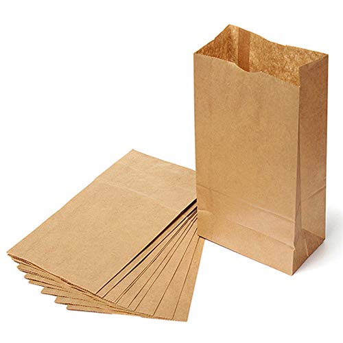 Preisvergleich Produktbild Queta 10 Packpapierbeutel, braune Verpackungstüten, Brotbeutel, Lebensmittelbeutel, zum Aufbewahren, Cookie, getrocknete Lebensmittel, Snacks, 24 x 13 x 8 cm