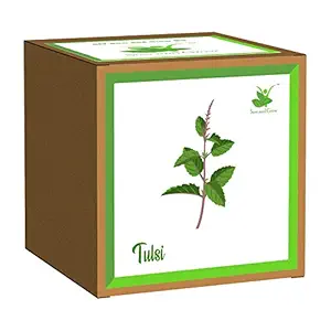 Sow and Grow Easy DIY Grow it Yourself Gardening Kit of Tulsi (Holy Basil) for Home and Garden - Best Eco Friendly Kids Birthday Return Gift, Wedding/Marriage Gift