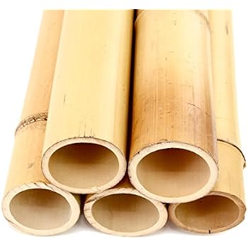 1 Stück Moso Bambusrohr gelb Gebleicht 200cm mit 10 bis 12cm