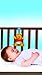 Tomy Winnie the Pooh Shakeable -Winnie The Pooh