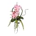 Produktbild Wandhänger Orchidee Hänger Hängeorchidee Kunstpflanze rosa rose 1917851-10 F59