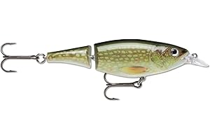 Rapala X-Rap Jointed Shad Leurre Mixte