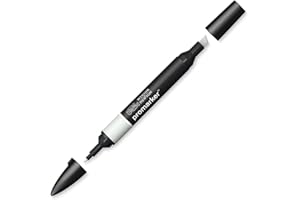 Winsor & Newton Rotulador ProMarker, Cool Grey 2 (Cg2), Gris