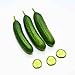 Produktbild Chunyang 20 Teile/Beutel Gurken Cuke Samen Obst Gemüse Samen für Hausgarten Pflanzen