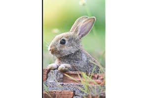 MON CARNET de Mots de Passe: Répertoire avec index alphabétique | Vos données: identifiants et codes confidentielles en sécurité | Lapin mignon | 152 ... x 20 cm | Idée cadeau original et pratique |