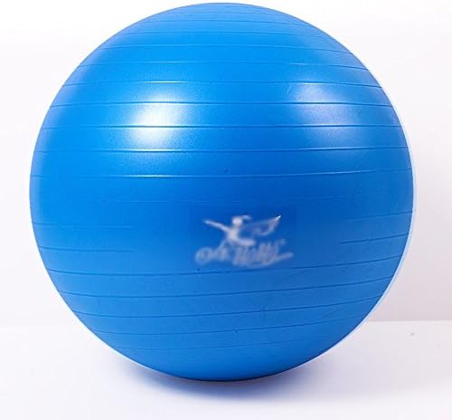 Yoga Ball / Thickening Explosion-proof Fitness Ball / Sports Weight Loss Ball / Thin Yoga Ball / Maternal Midwifery Balance Ball (5 Colors Optional) (size Optional) anti-burst fitness ball ( Color : C , Size : M )