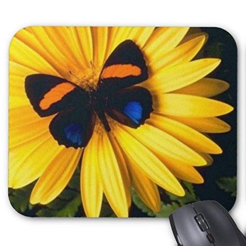 Preisvergleich Produktbild Mausunterlage Schmetterling auf Gelber Mausunterlage