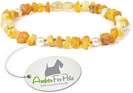 Amber Tick &amp; Flea Collar for Dogs - size 20cm-70cm - Top Quality on Amazon - made from 100% Genuine Raw Baltic Amber - Flea &amp; Tick Protection - 100% Natural &amp; Free of chemicals CGNpW28