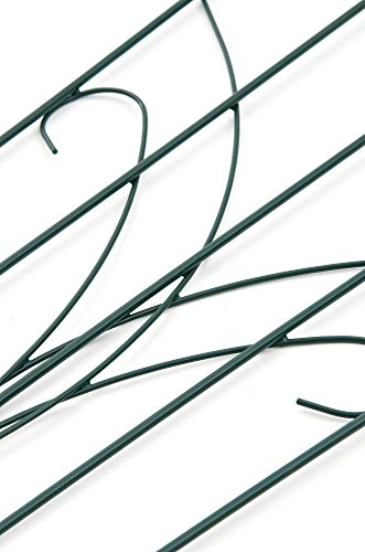 CLP Pflanzen Metall-Rankgitter TRIENT, Größe: 105 x 45 cm, Stabstärke 1 cm grün - 5