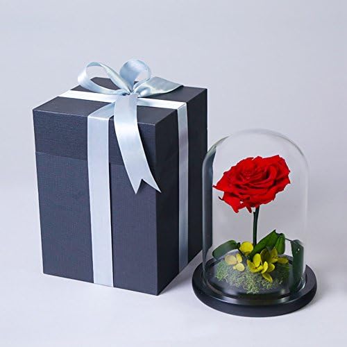 Preserved flower roses, Beauty roses and the beast, Handmade diy LED Valentine Never wither royals Wedding Anniversary, Birthday-E