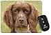 Produktbild Liver Springerspaniel-Hunde Computer-Maus -Matte / pad Weihnachtsgeschenk