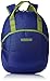 American Tourister Flint Blue Casual Backpack (Flint Backpack 01_8901836116502) RS.495.00