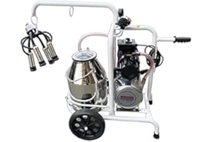 IMBRIANO MACCHINE AGRICOLE Mungitrice Bovini Elettrica Monofase Singolo Gruppo Carrellata Lubrificata Olio