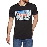 Large Levi's branded palm tree photo
