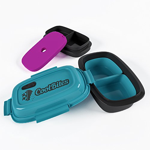 Coolbites Bento-Lunchboxen, brotdose Bento Mittagessen mit Eisbeutel – bis zu 4 Fächern – Für Kinder & Erwachsene – ideal für Zurück zu Shcool … - 6