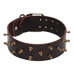 Leather Dog Collar for Big Breed , Heavy Quality Smart Genuine Adjustable