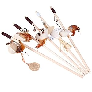 Cupcinu – Juego de 6 juguetes interactivos para gatos de interior, caña de pescar y plumas, juguete interactivo