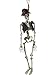 Produktbild Smiffys Bewegliches, hängendes Bräutigam Deko Skelett, Batteriebetrieben, Mit leuchtendenden Augen, Geräuschen und Bewegungen, 90cm Länge, Natur, 46905