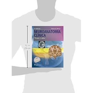 Neuroanatomia clinica: Texto y atlas