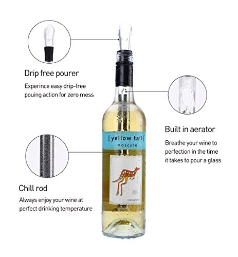MAVIE Edelstahl Weinkühler, Stainless Steel Wine Cooler Flaschenkühler Für Haus, Party 2 Packung - 3
