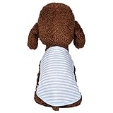 🍑🍑🍑transportin para perros pasta dientes perro chubasquero perro bolso para perro bebederos para perros bebedero perro portatil cinturon de seguridad para perros collar antiladridos para perros collar antiparasitos perro scalibor recoge cacas de perros correas para perros peque correas para perros grandes zapatos para perros botas perro botas para perros spray perros juegos para perros correa para correr con perros cinturon para perros coche libros sobre perros
