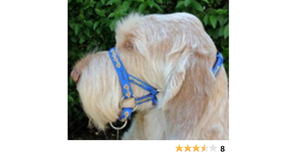 dogmatic headcollar amazon