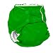 Rumparooz One Size Snap Cloth Pocket Diaper, Spring