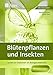 Blütenpflanzen und Insekten: Stationenlernen in der Sekundarstufe I (5. bis 10. Klasse) (Lernen an Stationen Biologie Sekundarstufe) by 