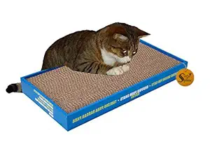 Sage Square Jumbo Size Scratching Board / Scratch Pad Cum Healthy Toy with Catnip for Cat / Kitten / Puppy