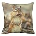 Produktbild Chipmunk Gluttony Throw Pillow Case