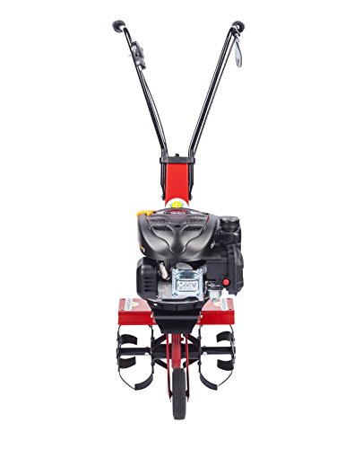 Eurosystems La Zappa 123 OHV - Motoazada a gasolina, motor Loncin