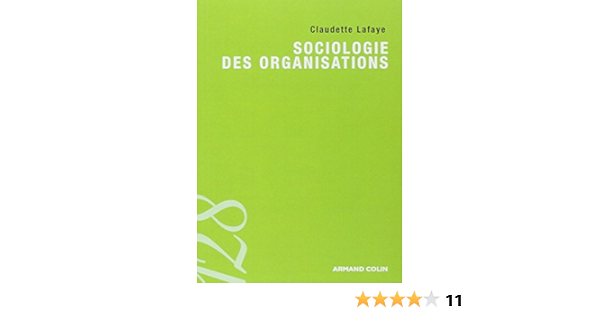 Amazon Fr Sociologie Des Organisations Lafaye Claudette Livres