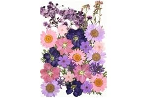 HAR LONDON FASHION Natural Real Dried Pressed Flowers Set with Tweezers, Colorful Resin Flowers for Jewelry Making, DIY Candle, Bookmark, Face Makeup, Resin Mold, Scrapbook etc (Set 10#94)