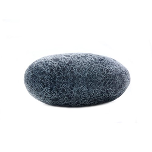 Vercart (TM) - 3D Artificial Living Stone Cases/Covers(Without Stuffing) 16"x12" - Throw Pillows Plush Toys For Children Creative Home Decoration Photo Or Film Props (LS0225)