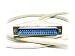 Produktbild Monoprice 10-Feet DB37 M/M Molded Cable (100512)