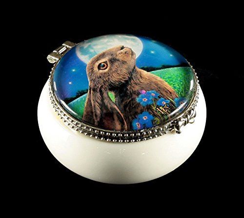 Preisvergleich Produktbild Kleines Schmuckdöschen Wicca Hase - Moongazing Hare