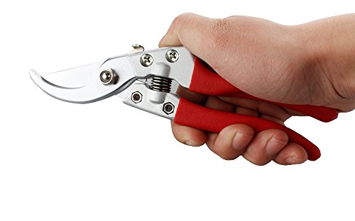 Happy FD Stahl Rasierer Gartenschere Garten Clippers Gartenscheren und Stahl Gartenschere Handarbeit - 5