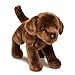 Produktbild Cuddle Toys 1888 C.C. Bean CHOCOLATE LABRADOR Hund braun Kuscheltier Plüschtier Stofftier Plüsch Spielzeug