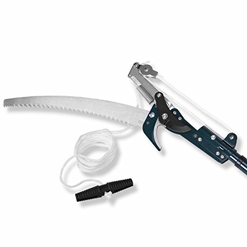 Astsäge Teleskopsäge Astschere Mit Seilzug Baumsäge Gartensäge Teleskop Säge – max. Arbeitshöhe 4 Meter - 5