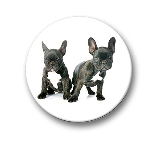 Französische Bulldogge Porträt – 6 große Kühlschrankmagnete Ø 5 cm [ 04 ] - 4