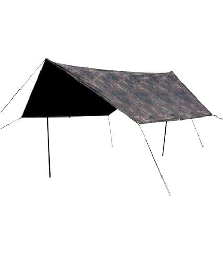 Wychwood Tactical Carp Tarp: Standard Sports & Outdoors
