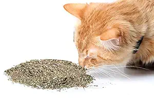 Royale Cat Organic Catnip, Safe Premium Blend Perfect for Cats, Instilled with Maximized Potency Your Kitty is Sure to Go Crazy for