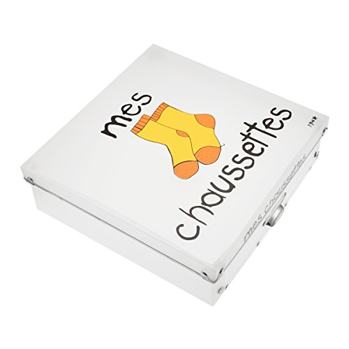 Incidence Paris 46644 Boite Mes Chaussettes, Plastique, Multicolore, 32 x 32 x 10 cm