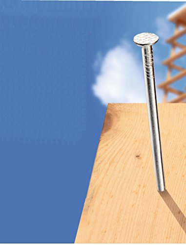 CONNEX 1,4 kg Nägel / Drahtstifte –Set, 4 Sorten, verzinkt, im praktischem Eimer - 3