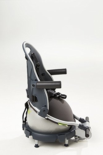 Buggypod Perle Clip On Board & Booster Seat (Grey)