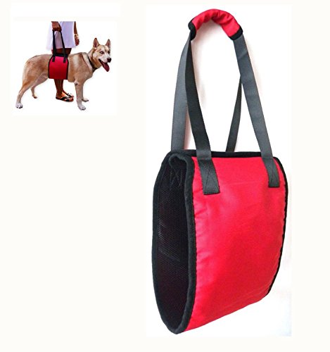 Jhua-Dog-Support-Harness-Dog-Lift-Support-Rehabilitation-Harness-for-Canines-Aid-Assist-Sling-to-Help-With-Mobility-Lifting-Older-Young-Puppies-with-Handle-for-Weak-Hind-Legs-Joints-Surgery